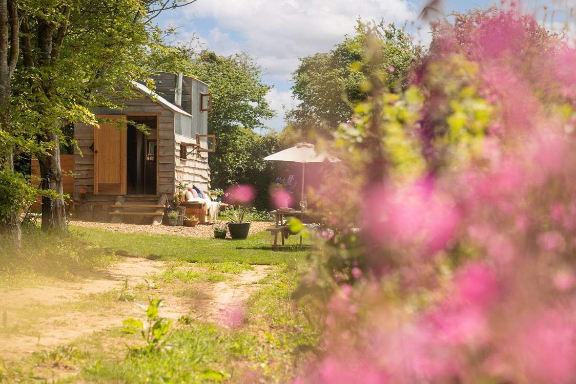 Tucked away in nature's paradise.