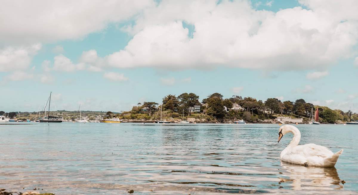 The still waters of the creek make it perfect for kayaking, paddle boarding and swimming!