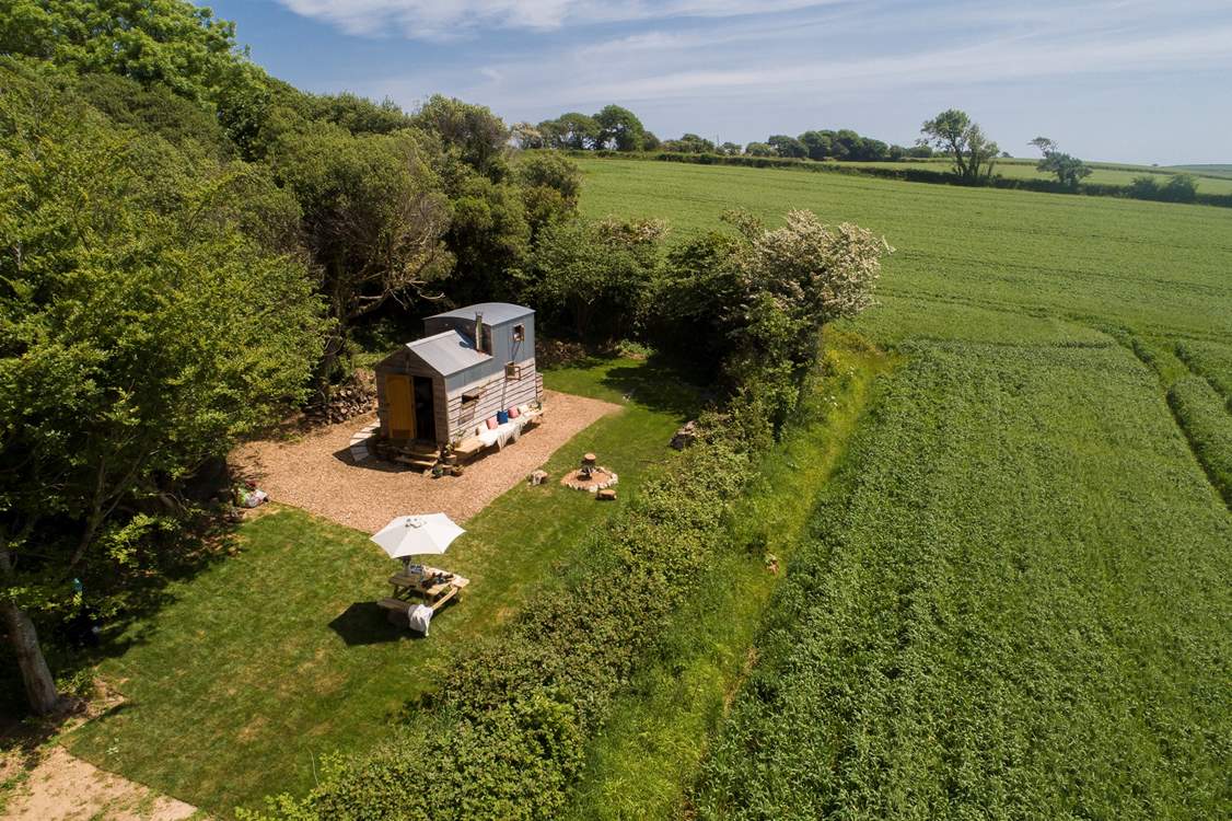 Wander through the trees to reach your mesmerising abode.