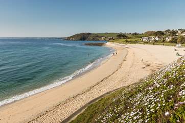 The gorgeous golden sand beaches of Falmouth.