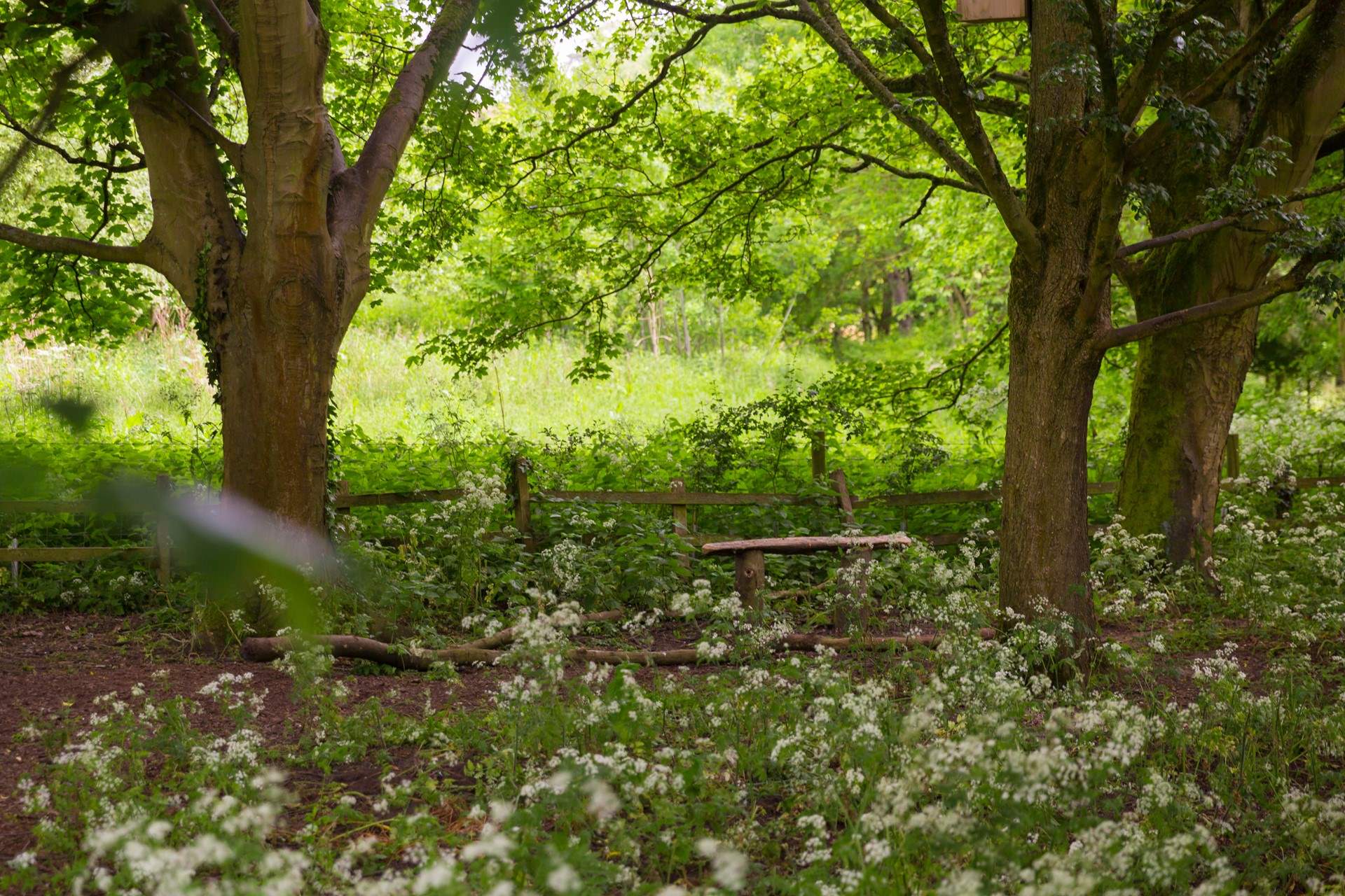 Or take a walk to enjoy the beautiful English countryside.