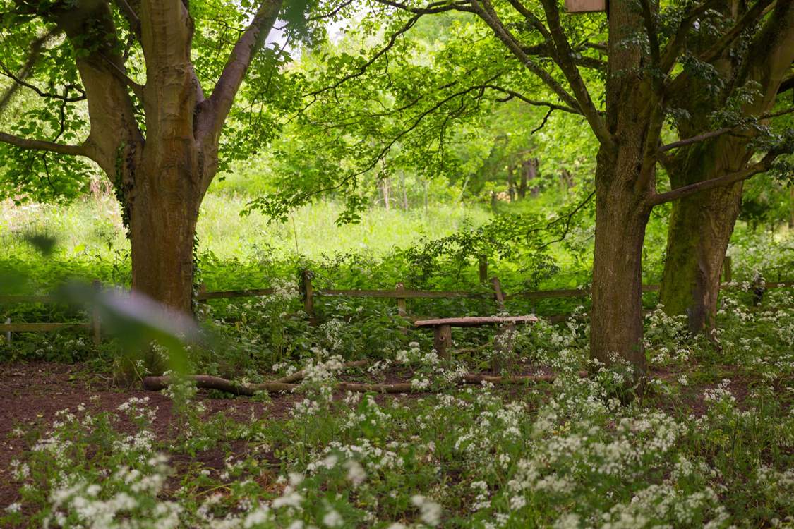 Or take a walk to enjoy the beautiful English countryside.