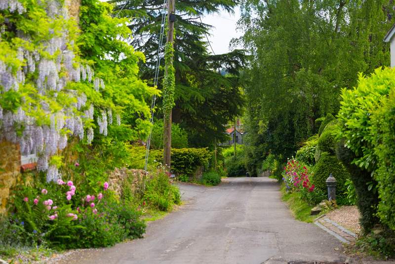 Take a stroll along the country lanes.