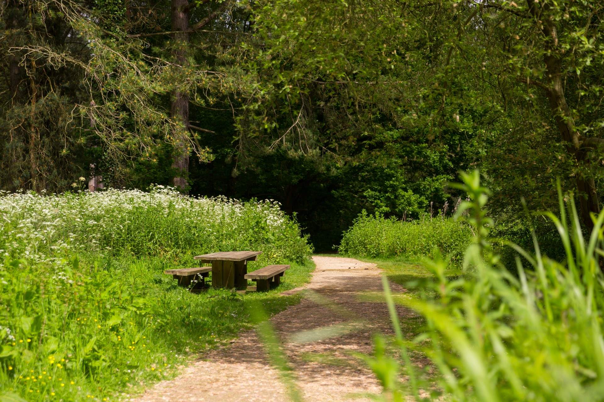 Rest on a bench beneath the trees.