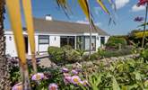  No 28 St Agnes, a fabulous holiday home for six lucky guests. - Thumbnail Image