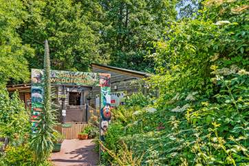 Perhaps a wander around the Wildlife Trust sounds appealing. Again, this little treasure can be reached on foot, as is only a short uphill stroll from Lofty Heights.