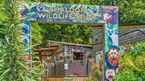 The little ones of the party will love the Shaldon Wildlife Zoo, and it is right on your doorstep. Another great day out which doesn't require the car.