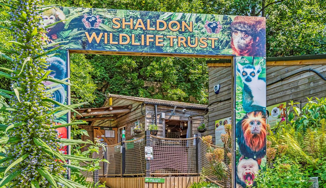 The little ones of the party will love the Shaldon Wildlife Zoo, and it is right on your doorstep. Another great day out which doesn't require the car.