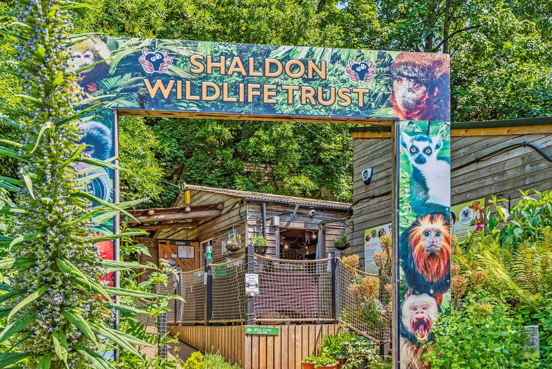 The little ones of the party will love the Shaldon Wildlife Zoo, and it is right on your doorstep. Another great day out which doesn't require the car.