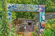 The little ones of the party will love the Shaldon Wildlife Zoo, and it is right on your doorstep. Another great day out which doesn't require the car.