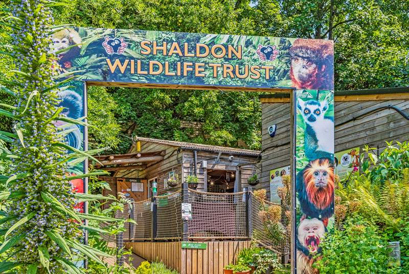 The little ones of the party will love the Shaldon Wildlife Zoo, and it is right on your doorstep. Another great day out which doesn't require the car.