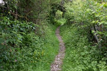 Discover hidden pathways.