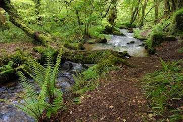 And ancient woodland, on your doorstep.