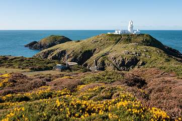 Explore unforgettable Strumble Head.