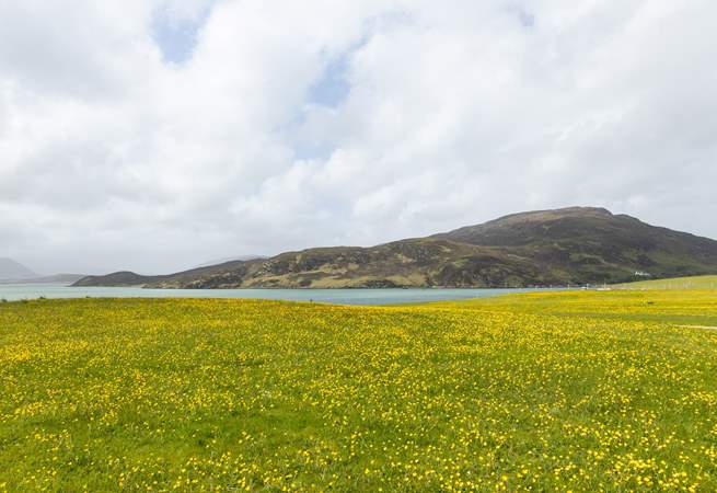 From the patio see the turquoise waters of the Kyle.