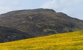 The  Scottish Highlands, perfect for walking. - Thumbnail Image