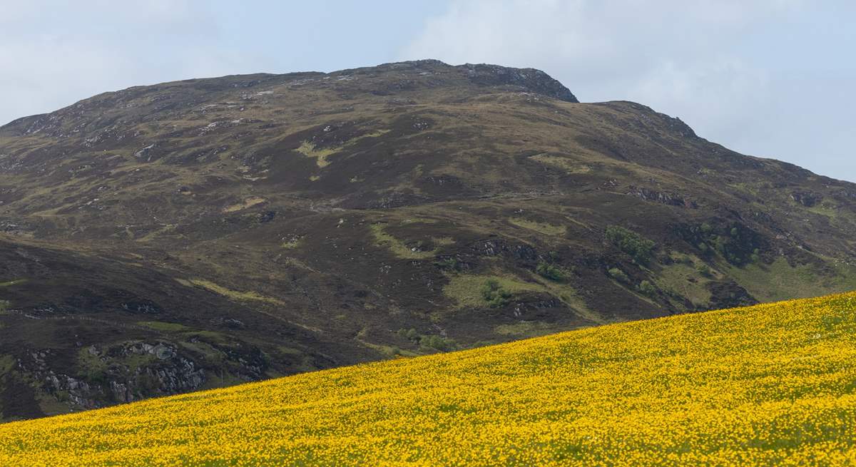 The  Scottish Highlands, perfect for walking.