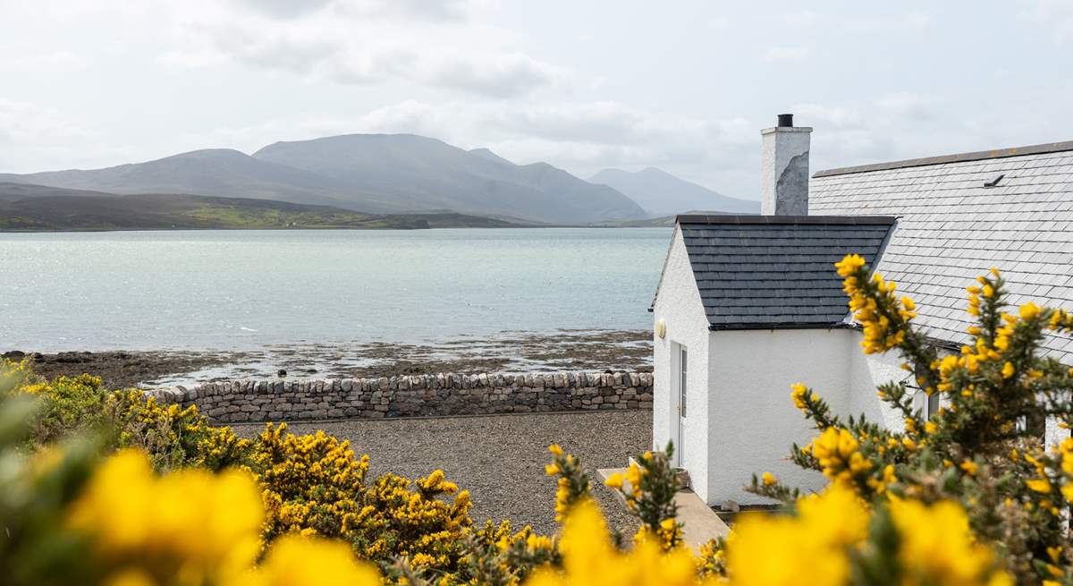 Shore Cottage nestles beautifully into its surroundings.