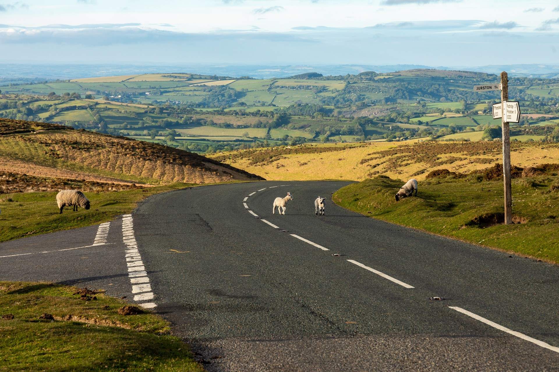You can reach the edge of Dartmoor National Park in just 15 minutes!