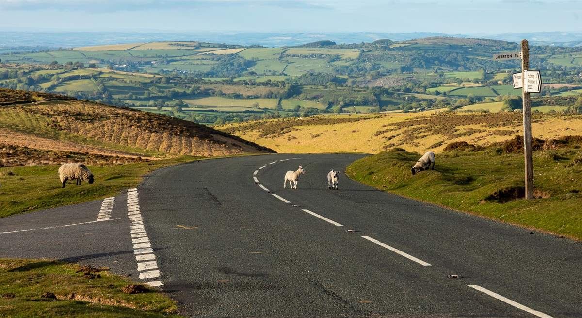 You can reach the edge of Dartmoor National Park in just 15 minutes!