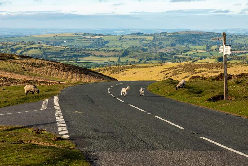 You can reach the edge of Dartmoor National Park in just 15 minutes!