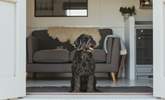 Nellie's Nook is the perfect dog-friendly retreat. - Thumbnail Image