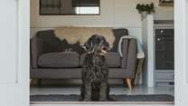 Nellie's Nook is the perfect dog-friendly retreat.