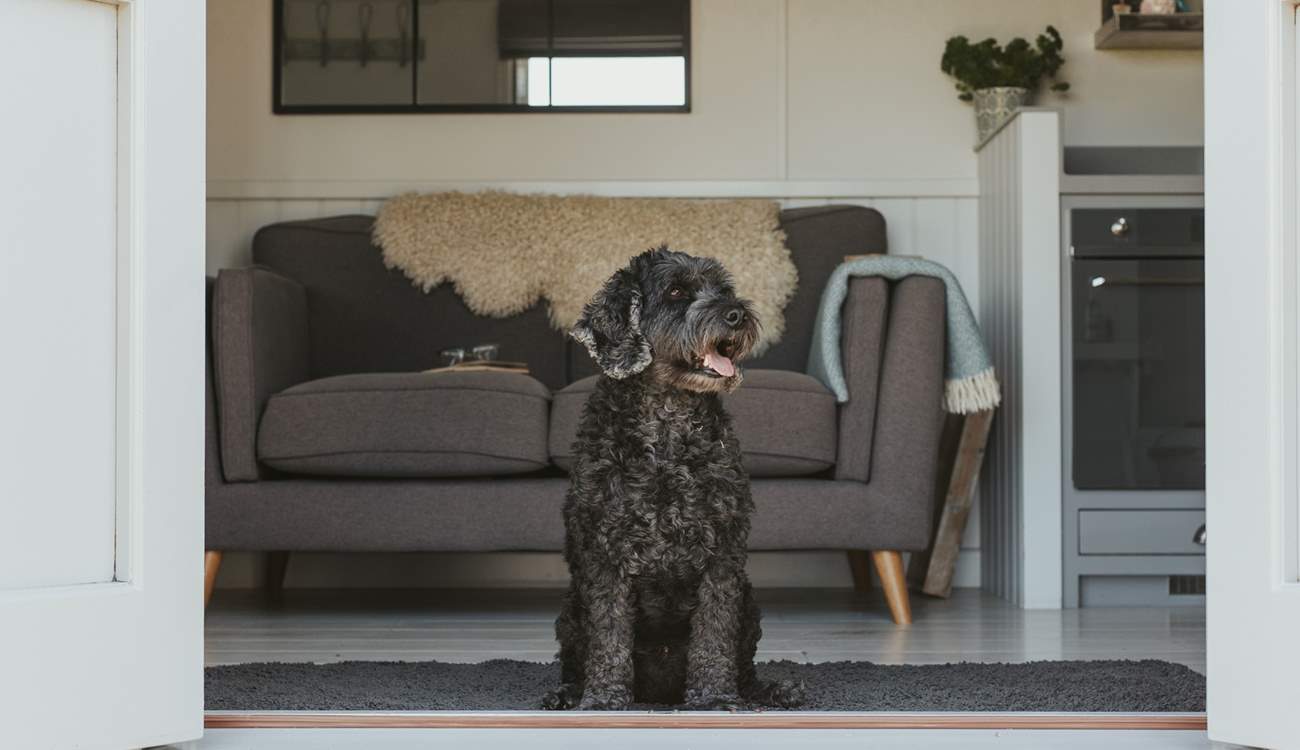 Nellie's Nook is the perfect dog-friendly retreat.