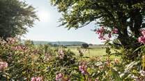 Hartland village is surrounded by tranquil countryside.