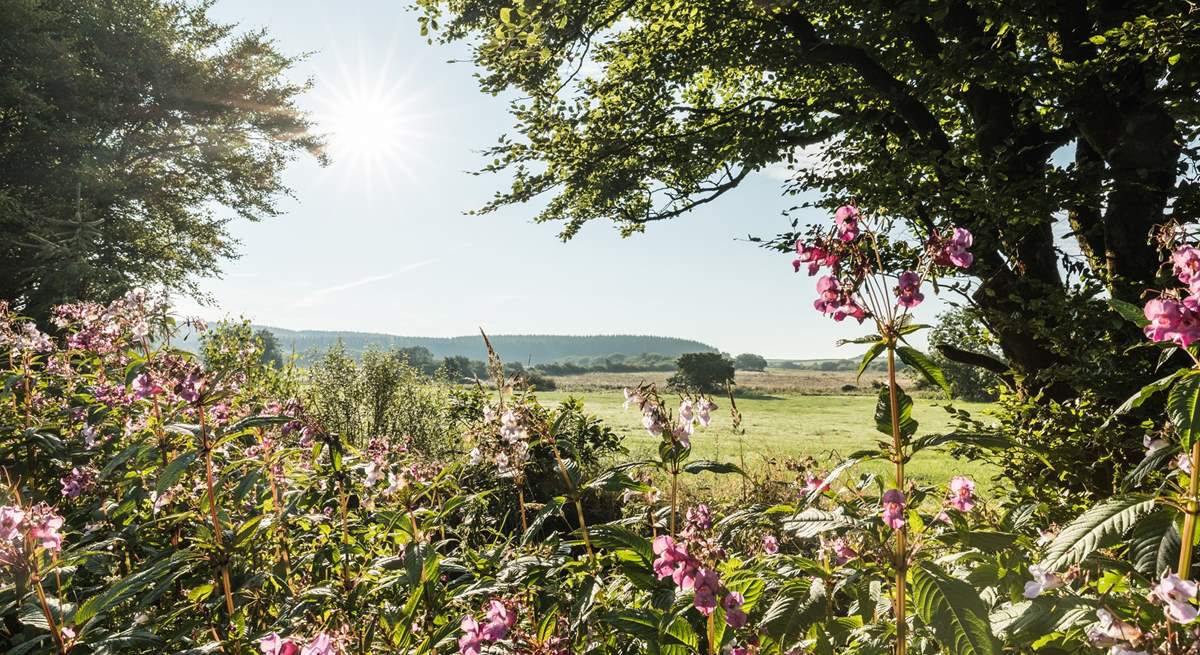 Hartland village is surrounded by tranquil countryside.