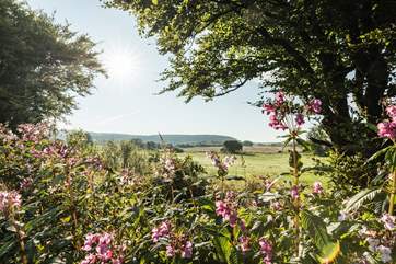 Hartland village is surrounded by tranquil countryside.