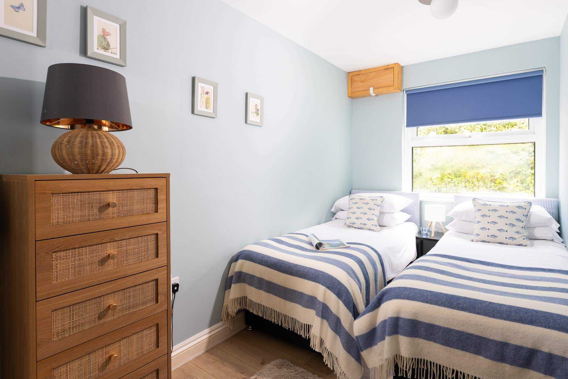 An ideal room for either children or adults. 