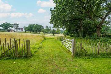 Entrance to the little meadow.