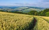 With some beautiful countryside on your doorstep don't forget your walking boots. - Thumbnail Image