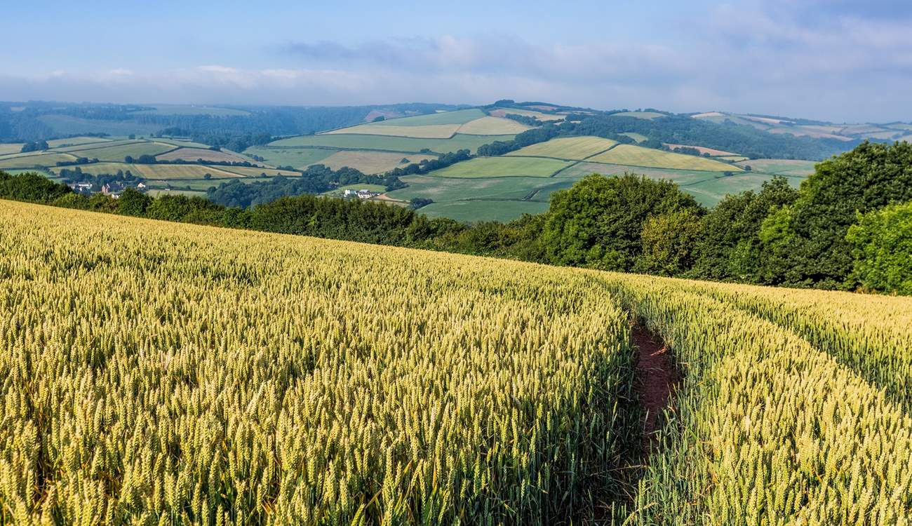 With some beautiful countryside on your doorstep don't forget your walking boots.