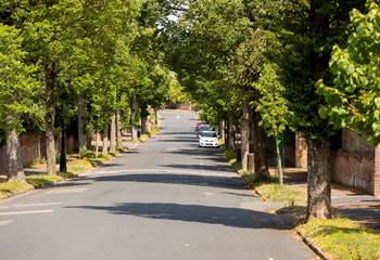 The tree-lined road as you approach the property.
