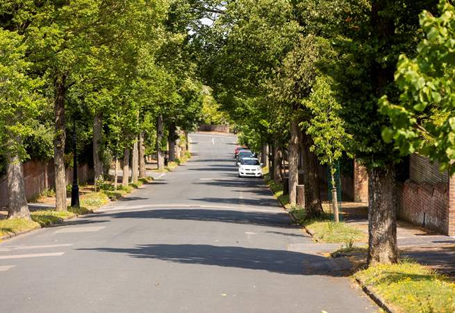 The tree-lined road as you approach the property.