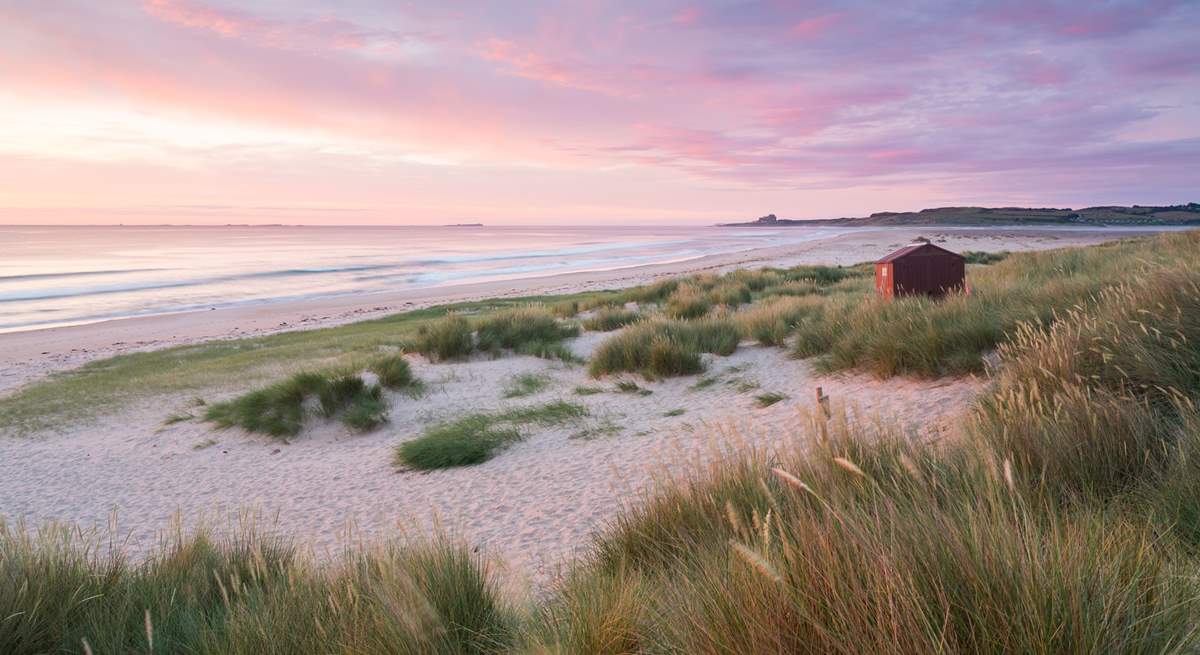 The Northumberland coast has so much to offer.