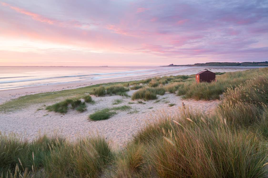 The Northumberland coast has so much to offer.