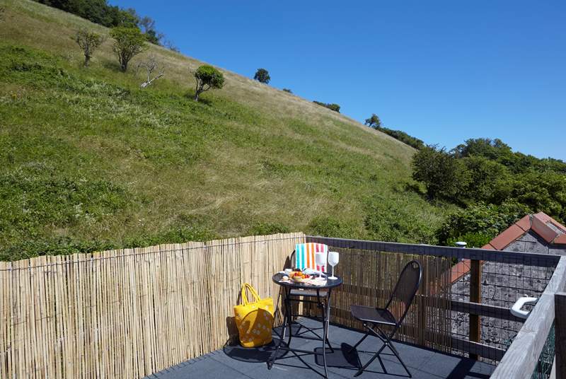 The roof terrace with fantastic views of Ventnor downs.