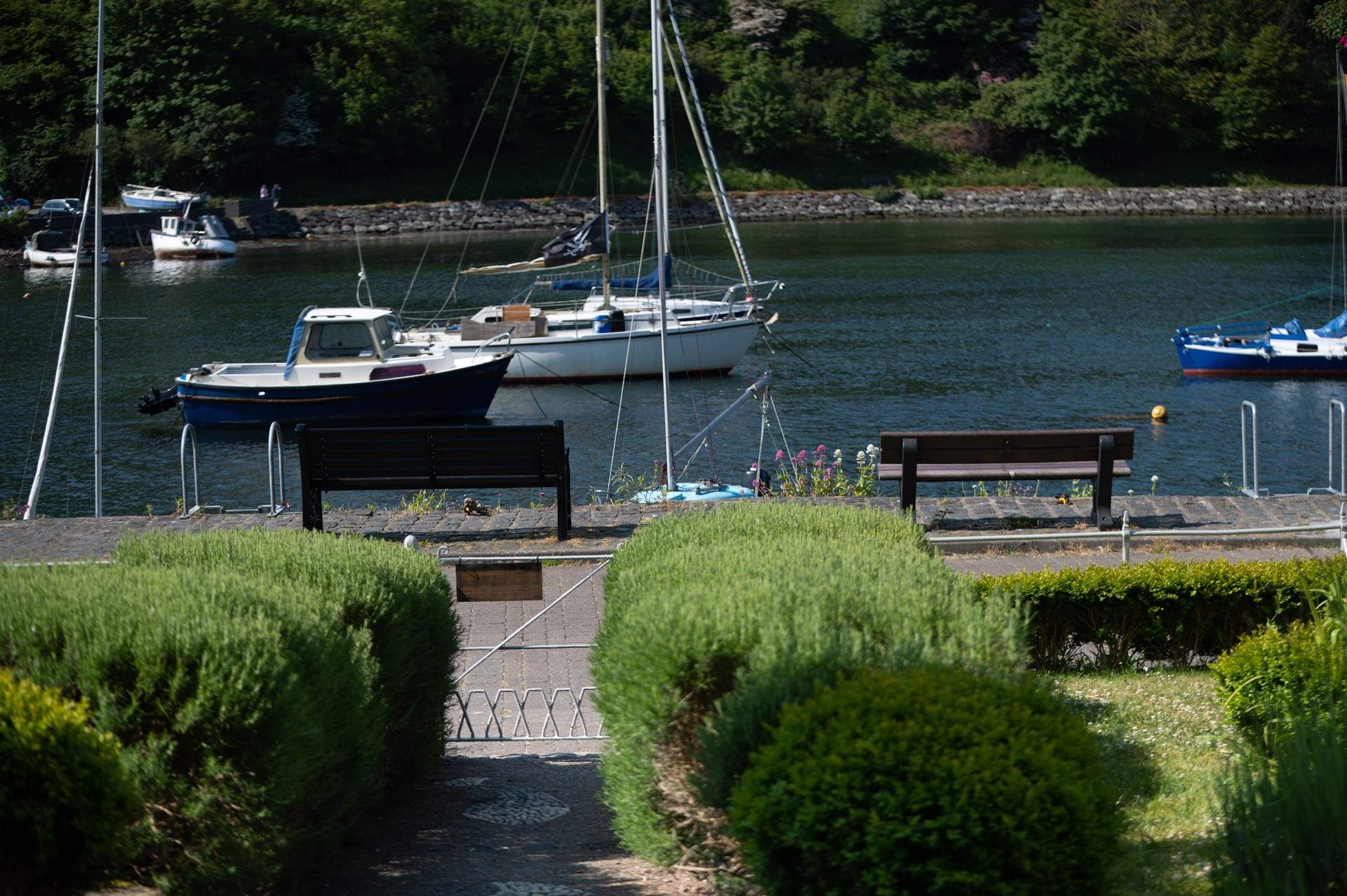 Right at the edge of the garden path. Children love crabbing off the wall. 
