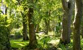 Ethereal grounds home to an abundance of trees, shrubs and foliage.  - Thumbnail Image