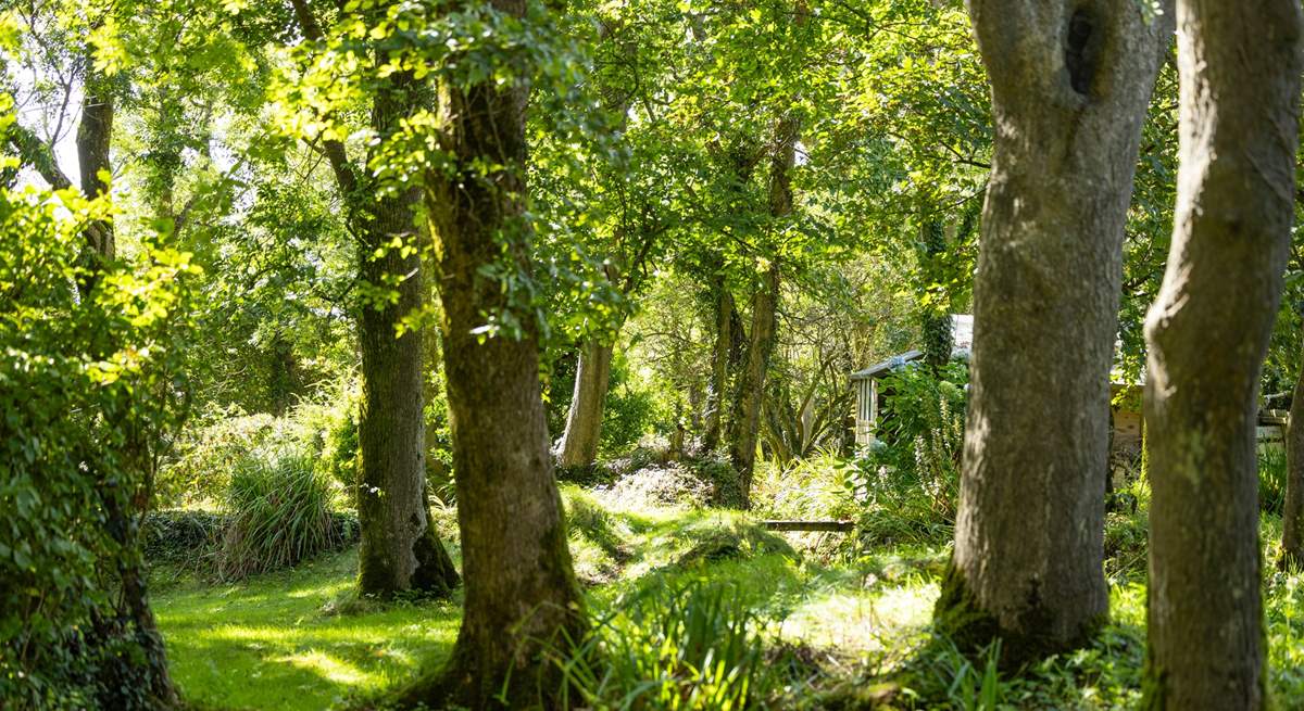 Ethereal grounds home to an abundance of trees, shrubs and foliage. 