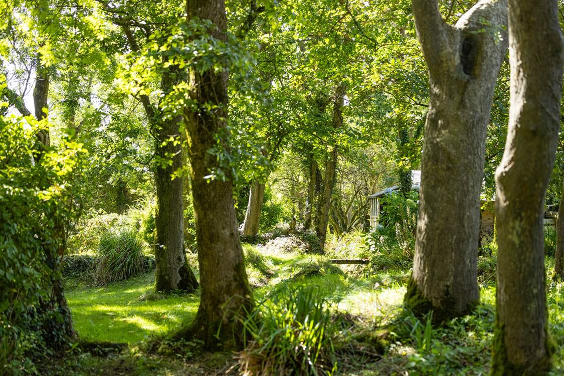 Ethereal grounds home to an abundance of trees, shrubs and foliage.