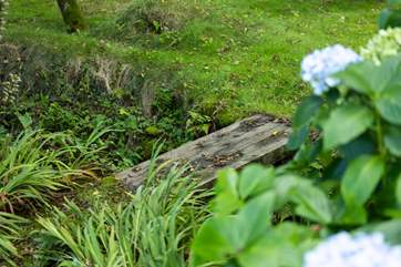Just stunning. Do take care and watch your footing when exploring the grounds at Barn Cottage.