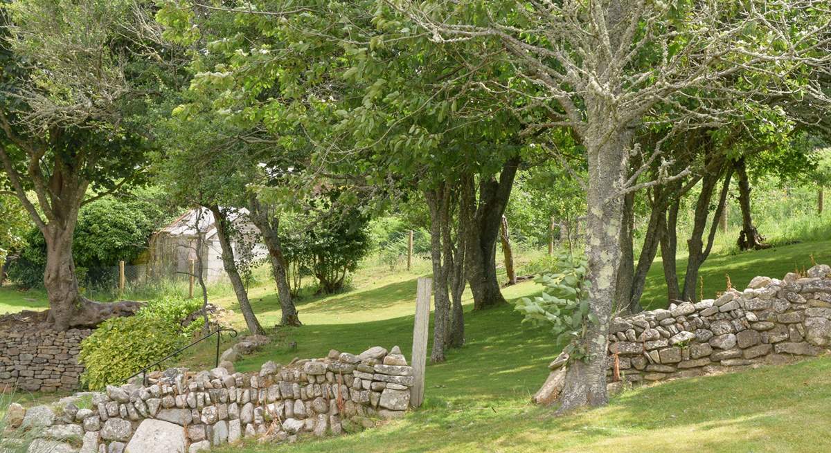 Sheltered by an old Cornish hedge it’s a beautiful spot for a game or two.