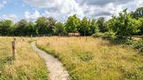 The winding path leads the way to your quirky hideout. 