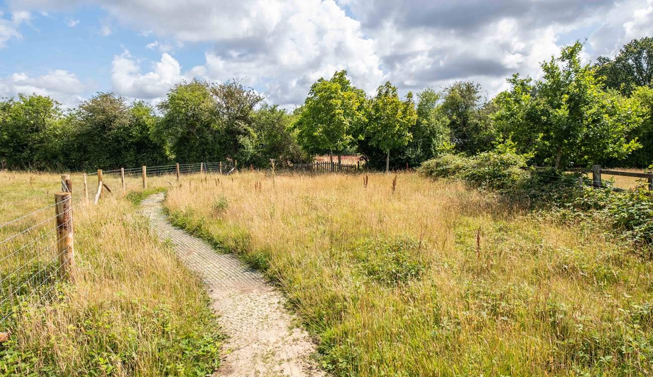 The winding path leads the way to your quirky hideout. 