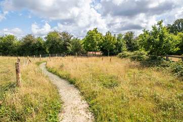 The winding path leads the way to your quirky hideout.