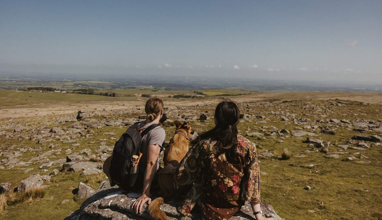 A little further afield, you'll reach the stunning landscape of Dartmoor National Park.